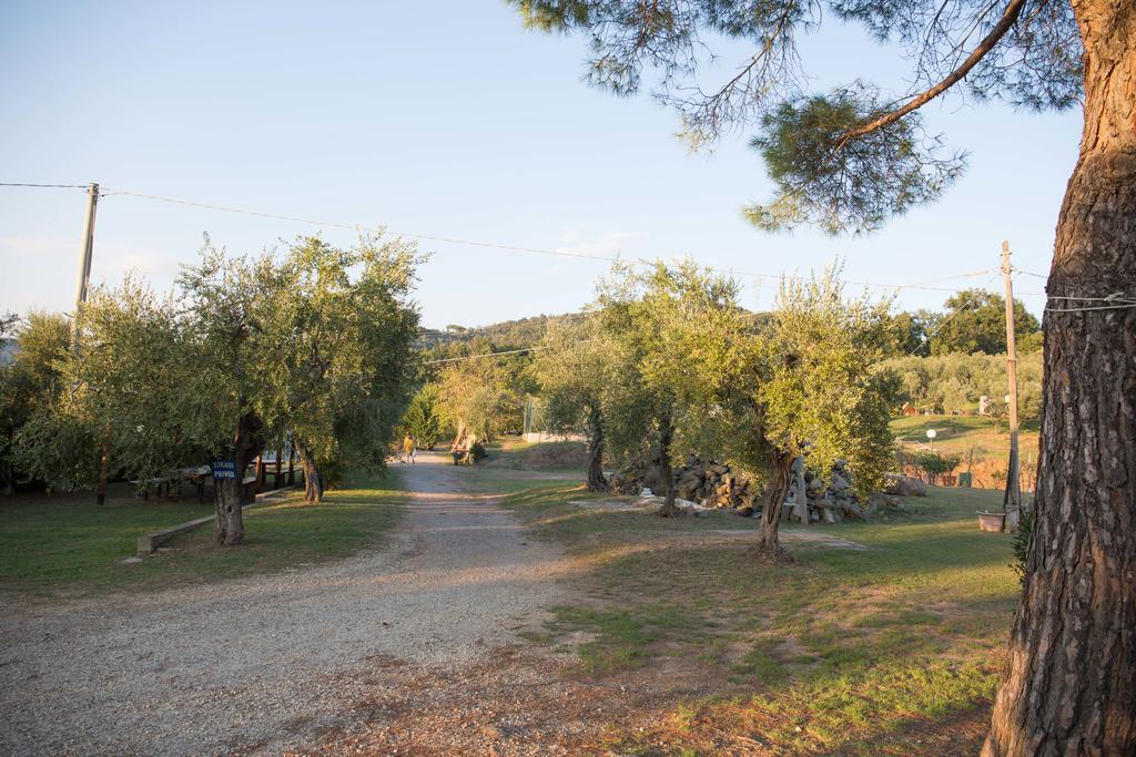 Agriturismo Poggetto Larciano Zewnętrze zdjęcie