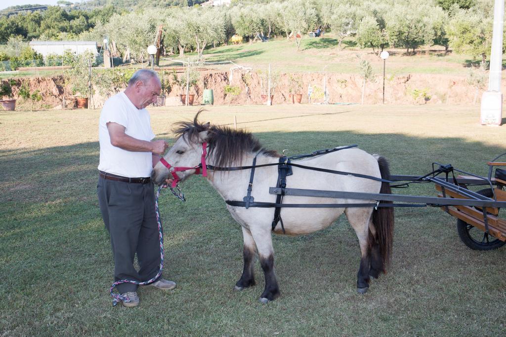 Agriturismo Poggetto Larciano Zewnętrze zdjęcie